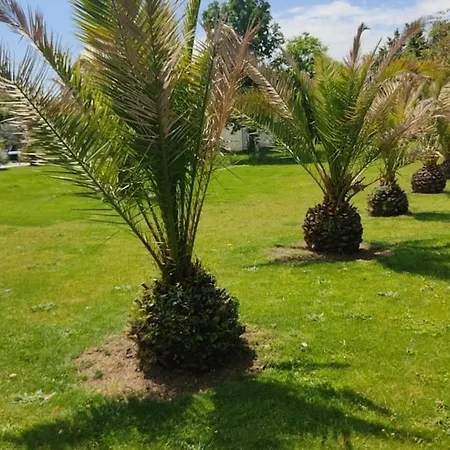 Maison Familiale Avec Piscine Lavillapalmyre