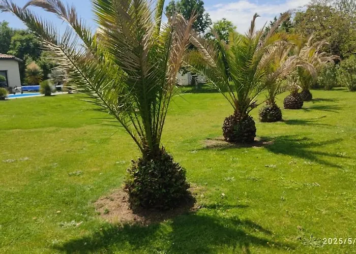 Maison Familiale Avec Piscine Lavillapalmyre